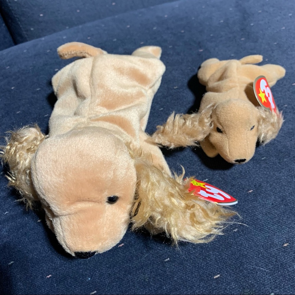 Ty Beanie Babies Spunky the Cocker Spaniel and Teenie Babies Spunky NEW